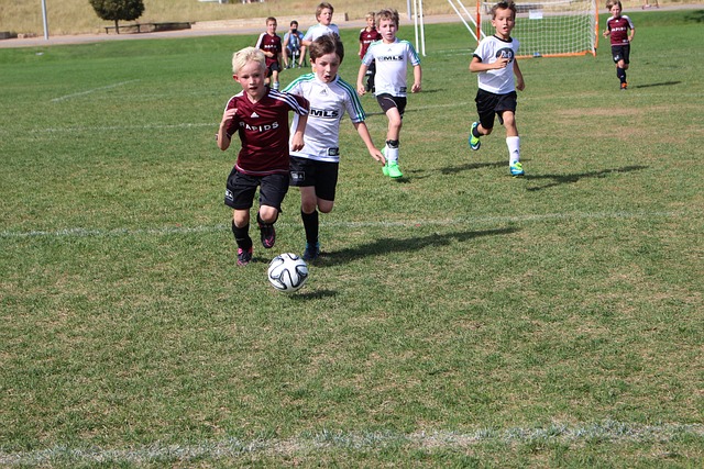 忽视的力量 忽视的力量