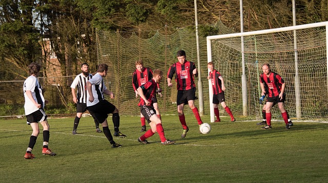 業合作機會 業合作機會